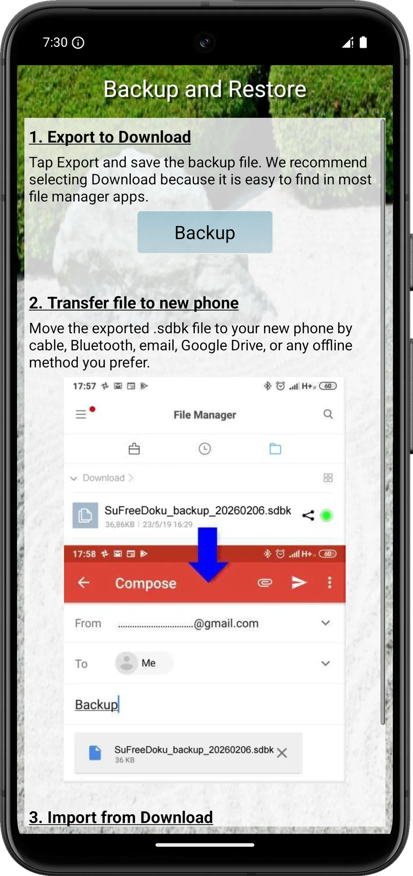 Free Sudoku Backup and Restore screen with export and import instructions